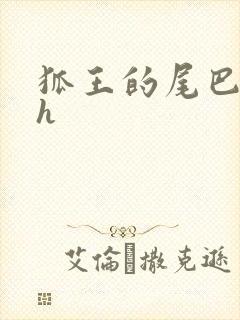 狐王的尾巴高ah