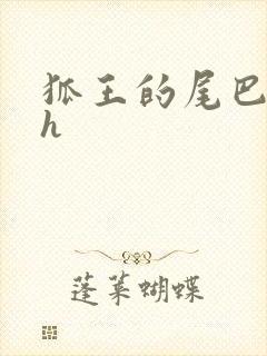 狐王的尾巴高ah