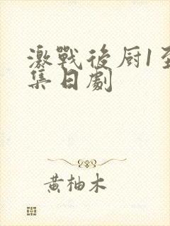 激战后厨1至5集日剧