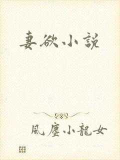 妻欲小说
