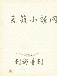 天籁小说网