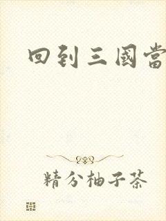 回到三国当军阀