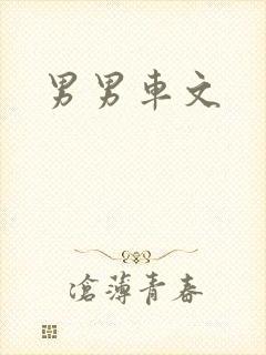 男男车文