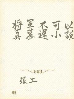将军不可以魏云真慕迟小说笔趣阁