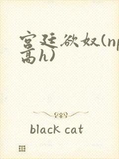 宫廷欲奴(np高h)