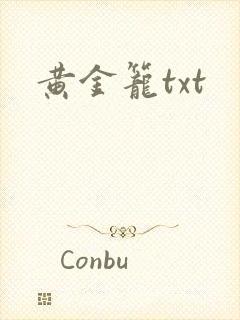 黄金笼txt