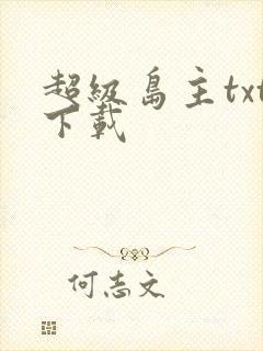 超级岛主txt下载