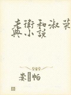 老卫和淑荣的经典小说