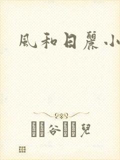 风和日丽小说