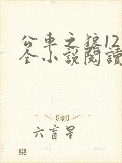 公车之狼12集全小说阅读