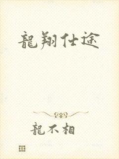 龙翔仕途