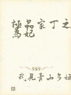 极品家丁之册母为妃