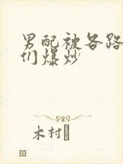 男配被各路大佬们爆炒