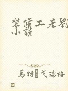 装修工老刘林雪小说