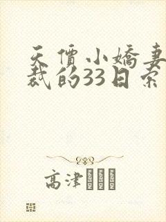 天价小娇妻,总裁的33日索情全文免费