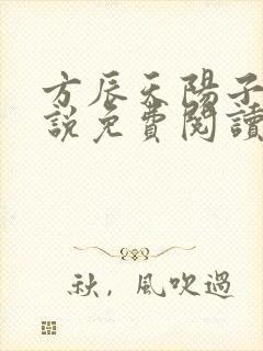 方辰天阳子的小说免费阅读