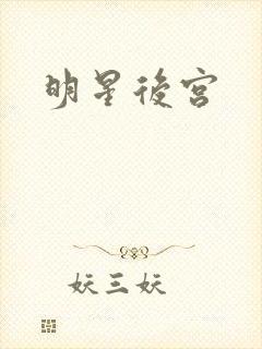 明星后宫