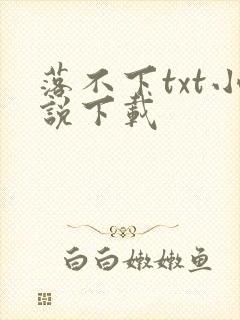 落不下txt小说下载