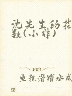 沈先生的花式调数(小非)