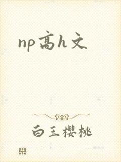 np高h文