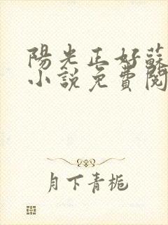 阳光正好苏玥玥小说免费阅读