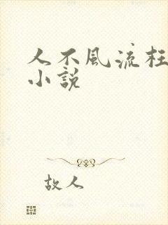 人不风流枉少年小说