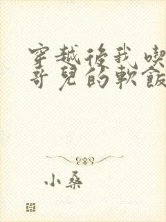 穿越后我吃到了哥儿的软饭炉山灰