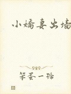 小娇妻出墙记