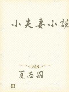 小夫妻小说