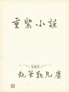 重紫小说
