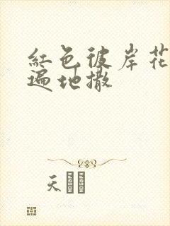 红色彼岸花花瓣遍地撒