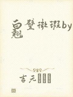 白璧微瑕by连翘