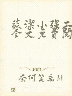 苏洁小强工地情全文免费阅读