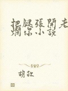 把腿张开老子臊烂你小说