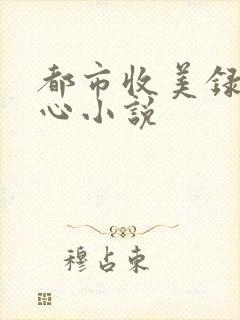 都市收美录宁素心小说