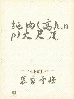 纯肉(高h.np)大尺度