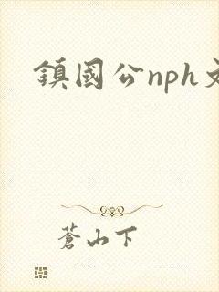 镇国公nph文