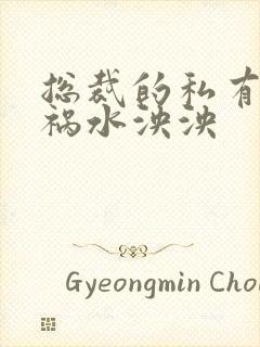 总裁的私有宝贝祸水泱泱