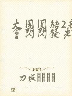 大团圆结2亲情会闪闪发光亲情会