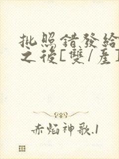 批照错发给情敌之后[双/产]