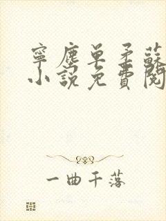 宁尘单柔苏千雪小说免费阅读最新