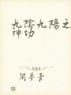 九阴九阳之阴阳神功