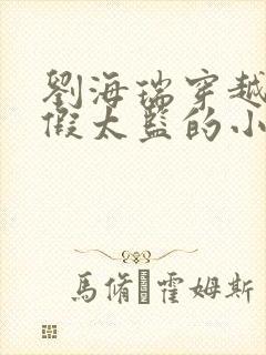 刘海瑞穿越后宫假太监的小说