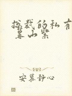 总裁的私有宝贝 暮山紫