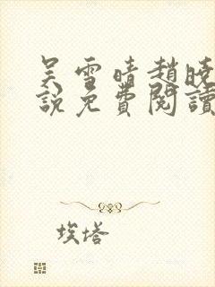 吴雪晴赵晓东小说免费阅读