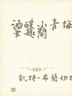 酒酿小青梅po笔趣阁