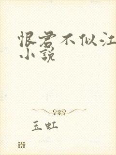 恨君不似江楼月小说