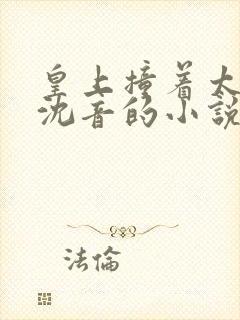 皇上撞着太子妃沈音的小说叫什么