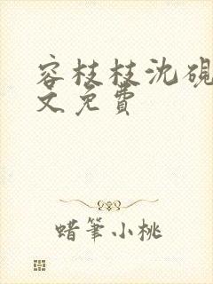 容枝枝沈砚书全文免费