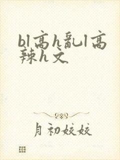 bl高h乱l高辣h文